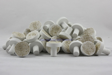 500 Ablegersteine Korallen-Plugs 30mm für Korallen Meerwasser 0,29€/St.